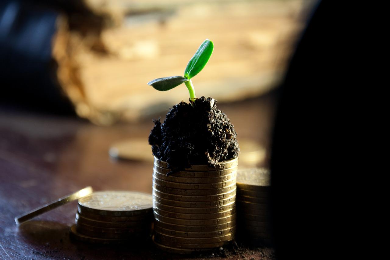 plant on money