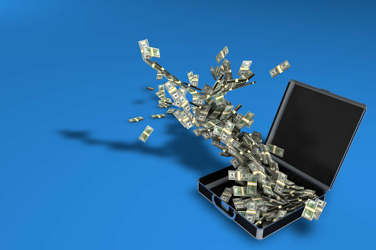 money exploding from brief case