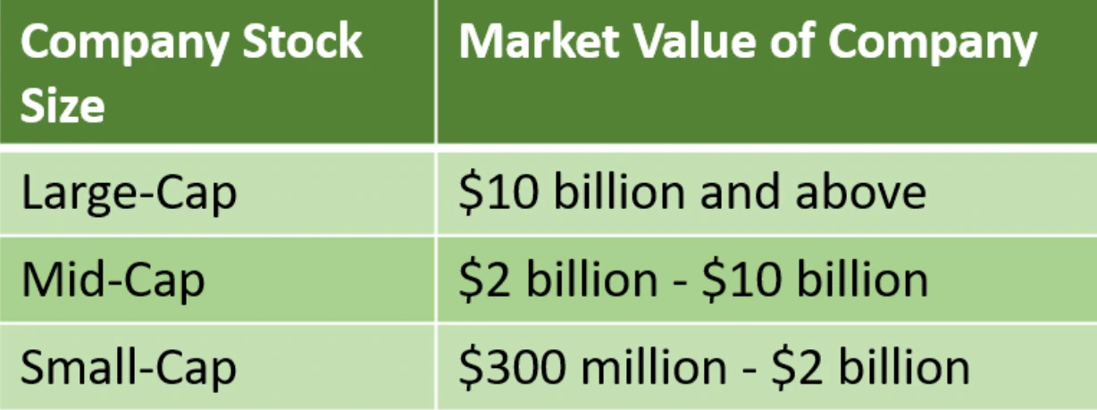 the size of different assets