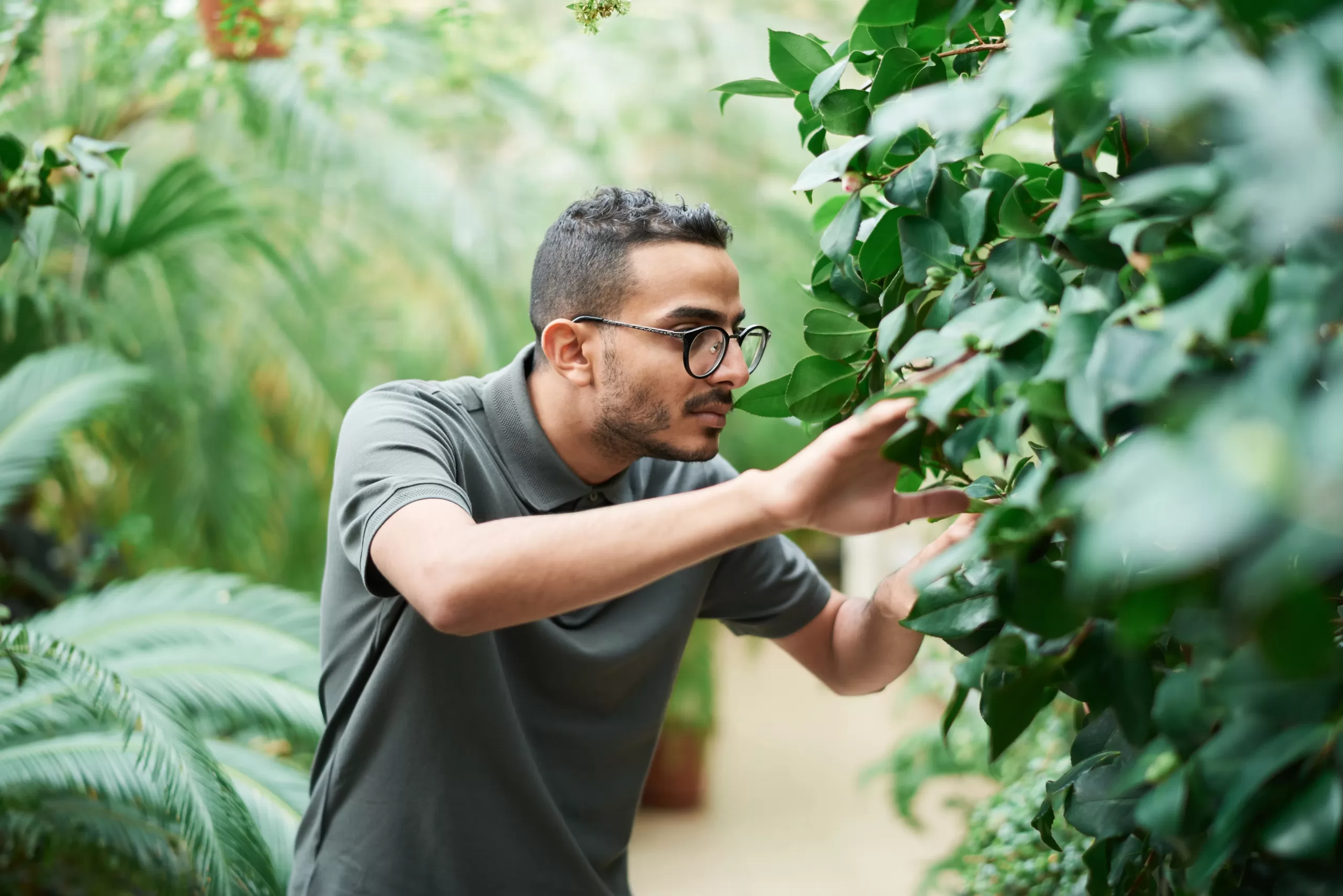 man searching through the bushes