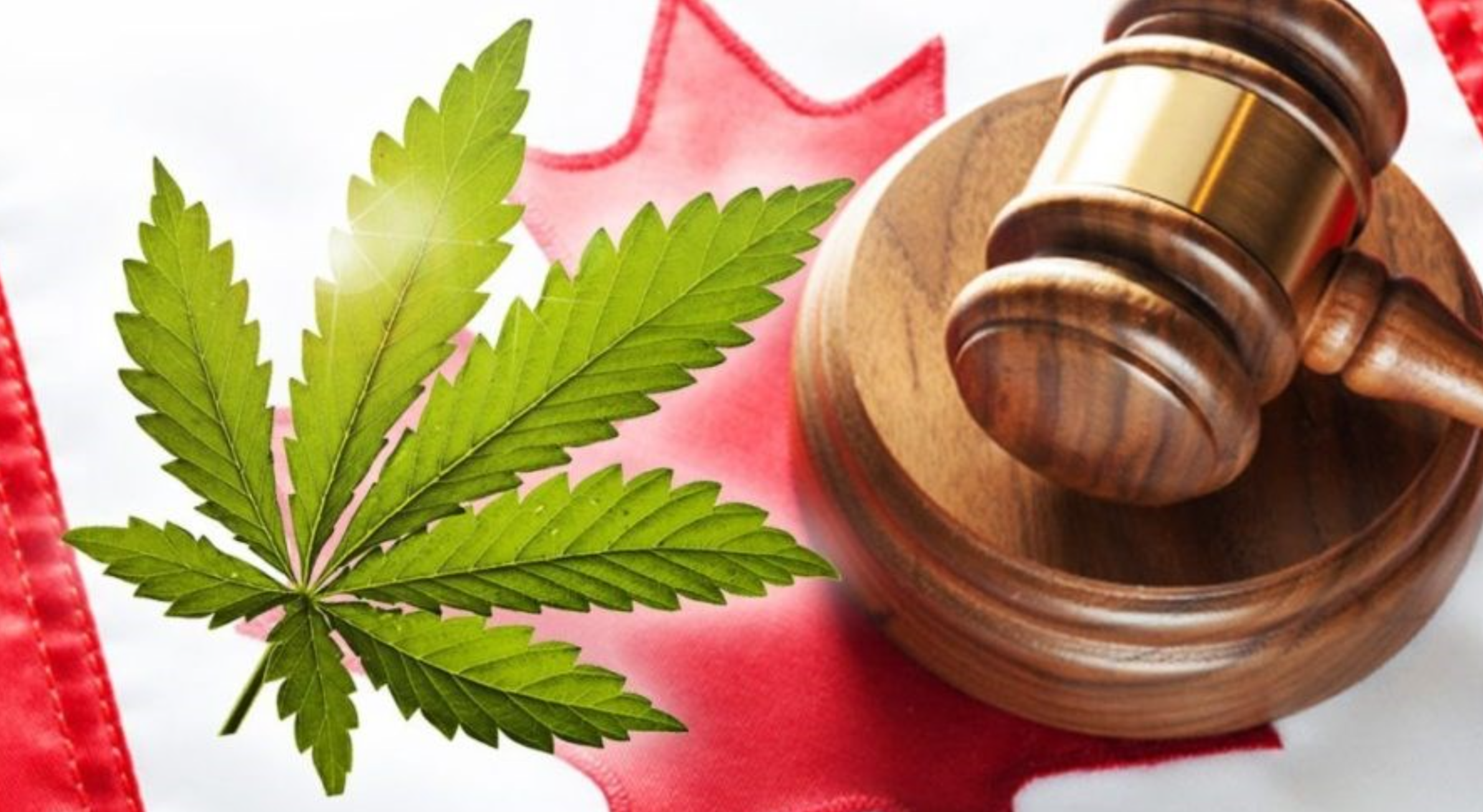 A marijuana leaf and a gavel over top of the Canadian flag