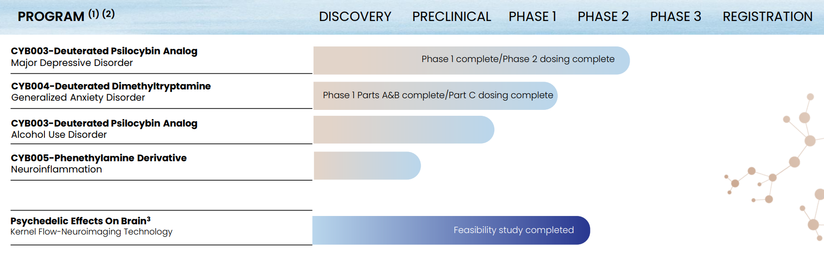 Cybin Drug Development Pipeline | Cybin